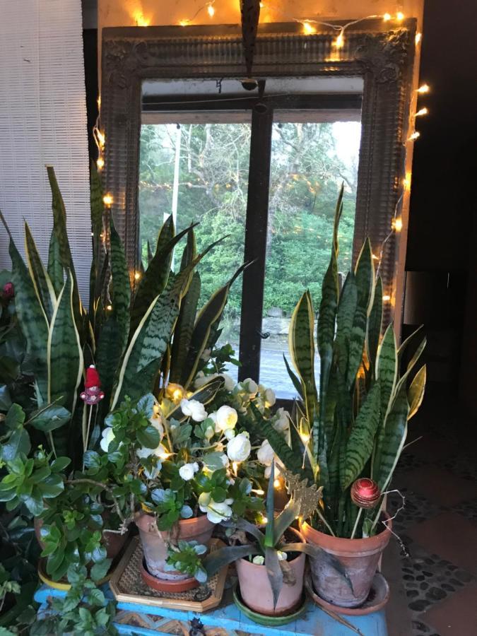 La Maison D' Elizabeth Lagrasse Eksteriør bilde